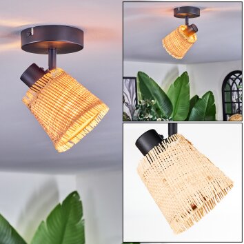 Lindberg Plafondlamp, Plafondspot Zwart, 1-licht