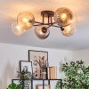 Koyoto Plafondlamp, Kogellampje 59 cm Amber, Duidelijk, Rookkleurig, 6-lichts