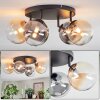 Chehalis Plafondlamp, Kogellampje Amber, Duidelijk, Rookkleurig, 4-lichts