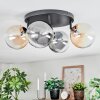 Chehalis Plafondlamp, Kogellampje Amber, Duidelijk, Rookkleurig, 4-lichts