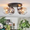 Chehalis Plafondlamp, Kogellampje Amber, Duidelijk, Rookkleurig, 4-lichts