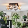 Chehalis Plafondlamp, Kogellampje Amber, Duidelijk, Rookkleurig, 4-lichts