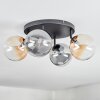 Chehalis Plafondlamp, Kogellampje Amber, Duidelijk, Rookkleurig, 4-lichts