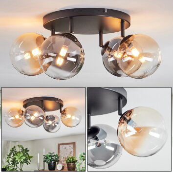 Chehalis Plafondlamp, Kogellampje Amber, Duidelijk, Rookkleurig, 4-lichts
