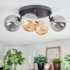 Chehalis Plafondlamp, Kogellampje Amber, Rookkleurig, 4-lichts