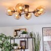 Ripoll Plafondlamp, Kogellampje Amber, Duidelijk, 6-lichts