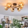 Ripoll Plafondlamp, Kogellampje Amber, Duidelijk, 6-lichts