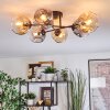 Ripoll Plafondlamp, Kogellampje Amber, Duidelijk, Rookkleurig, 6-lichts