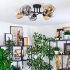 Ripoll Plafondlamp, Kogellampje Amber, Duidelijk, Rookkleurig, 6-lichts