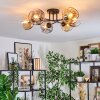 Ripoll Plafondlamp, Kogellampje Amber, Duidelijk, Rookkleurig, 6-lichts