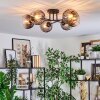 Koyoto Plafondlamp, Kogellampje 59 cm Duidelijk, Rookkleurig, 6-lichts