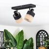 Fallhagen Plafondlamp, Plafondspot Zwart, 2-lichts