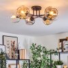 Ripoll Plafondlamp, Kogellampje Amber, Duidelijk, Rookkleurig, 6-lichts