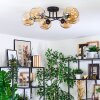Ripoll Plafondlamp, Kogellampje Amber, 6-lichts