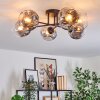Ripoll Plafondlamp, Kogellampje Duidelijk, Rookkleurig, 6-lichts