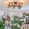 Ripoll Plafondlamp, Kogellampje Duidelijk, Rookkleurig, 6-lichts