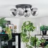 Chehalis Plafondlamp, Kogellampje Duidelijk, Rookkleurig, 4-lichts