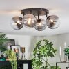 Chehalis Plafondlamp, Kogellampje Duidelijk, Rookkleurig, 4-lichts