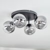Chehalis Plafondlamp, Kogellampje Duidelijk, Rookkleurig, 4-lichts