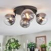 Chehalis Plafondlamp, Kogellampje Duidelijk, Rookkleurig, 4-lichts