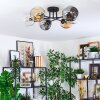 Ripoll Plafondlamp, Kogellampje Amber, Duidelijk, Rookkleurig, 6-lichts