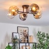 Ripoll Plafondlamp, Kogellampje Amber, Duidelijk, Rookkleurig, 6-lichts
