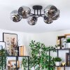 Ripoll Plafondlamp, Kogellampje Rookkleurig, 6-lichts