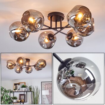 Ripoll Plafondlamp, Kogellampje Rookkleurig, 6-lichts