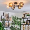 Ripoll Plafondlamp, Kogellampje Amber, Duidelijk, Rookkleurig, 6-lichts