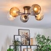 Ripoll Plafondlamp, Kogellampje Amber, Duidelijk, Rookkleurig, 6-lichts