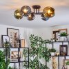 Ripoll Plafondlamp, Kogellampje Blauw, Chroom, Goud, Groen, Rookkleurig, 6-lichts