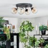 Chehalis Plafondlamp, Kogellampje Amber, Duidelijk, 4-lichts