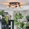 Chehalis Plafondlamp, Kogellampje Amber, Duidelijk, 4-lichts
