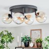 Chehalis Plafondlamp, Kogellampje Amber, Duidelijk, 4-lichts