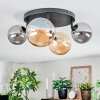 Chehalis Plafondlamp, Kogellampje Amber, Rookkleurig, 4-lichts