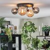 Chehalis Plafondlamp, Kogellampje Amber, Rookkleurig, 4-lichts