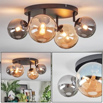 Chehalis Plafondlamp, Kogellampje Amber, Rookkleurig, 4-lichts