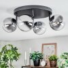 Chehalis Plafondlamp, Kogellampje Duidelijk, Rookkleurig, 4-lichts