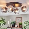 Chehalis Plafondlamp, Kogellampje Duidelijk, Rookkleurig, 4-lichts
