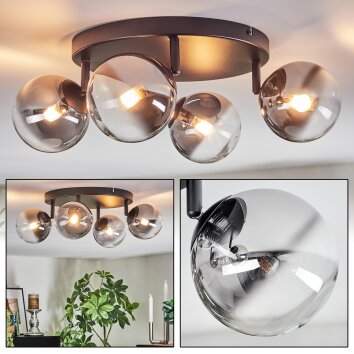 Chehalis Plafondlamp, Kogellampje Duidelijk, Rookkleurig, 4-lichts
