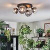 Chehalis Plafondlamp, Kogellampje Duidelijk, Rookkleurig, 4-lichts