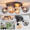 Chehalis Plafondlamp, Kogellampje Amber, Rookkleurig, 4-lichts