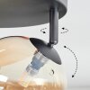 Chehalis Plafondlamp, Kogellampje Amber, 4-lichts