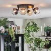 Chehalis Plafondlamp, Kogellampje Amber, Duidelijk, Rookkleurig, 4-lichts