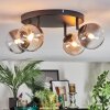 Chehalis Plafondlamp, Kogellampje Amber, Duidelijk, Rookkleurig, 4-lichts