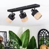 Fallhagen Plafondlamp, Plafondspot Zwart, 3-lichts
