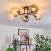 Ripoll Plafondlamp, Kogellampje Amber, Duidelijk, Rookkleurig, 6-lichts