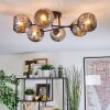 Ripoll Plafondlamp, Kogellampje Rookkleurig, 6-lichts