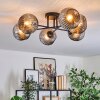 Ripoll Plafondlamp, Kogellampje Rookkleurig, 6-lichts