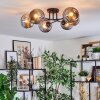 Ripoll Plafondlamp, Kogellampje Rookkleurig, 6-lichts
